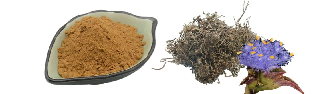 product-1-1 Ecdysone Extract Powder with 90% Ecdysone UV by Botanical Cube Inc.1