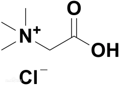 product-240-171 product-240-171