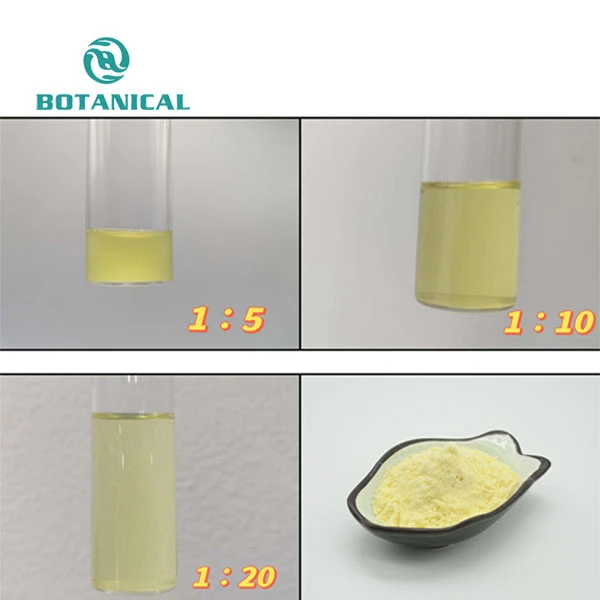 Water-soluble ginger display in different times of water-soluble Water-soluble ginger display in different times of water-soluble