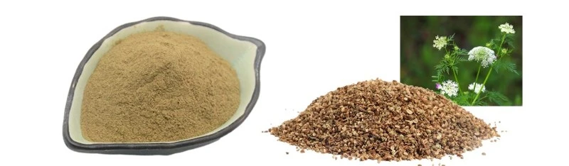 Cnidium Fruit Extract Osthole 20 by Botanical Cube Inc Cnidium Fruit Extract Osthole 20 by Botanical Cube Inc