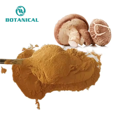 Εκχύλισμα μανιταριών Shiitake